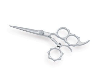 Professional Hair Cutting Scissors 